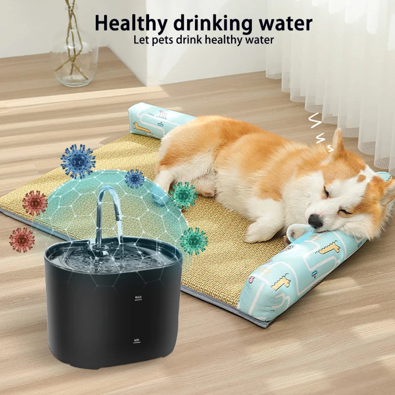 Constantly Clean Water Pet Fountain