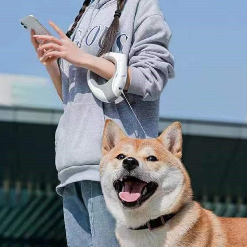 Glowing LED Hands-Free Dog Leash