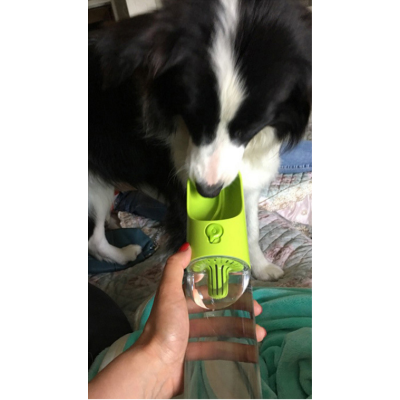 Portable Filtered Pet Water Bottle