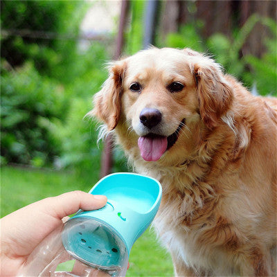 Portable Filtered Pet Water Bottle